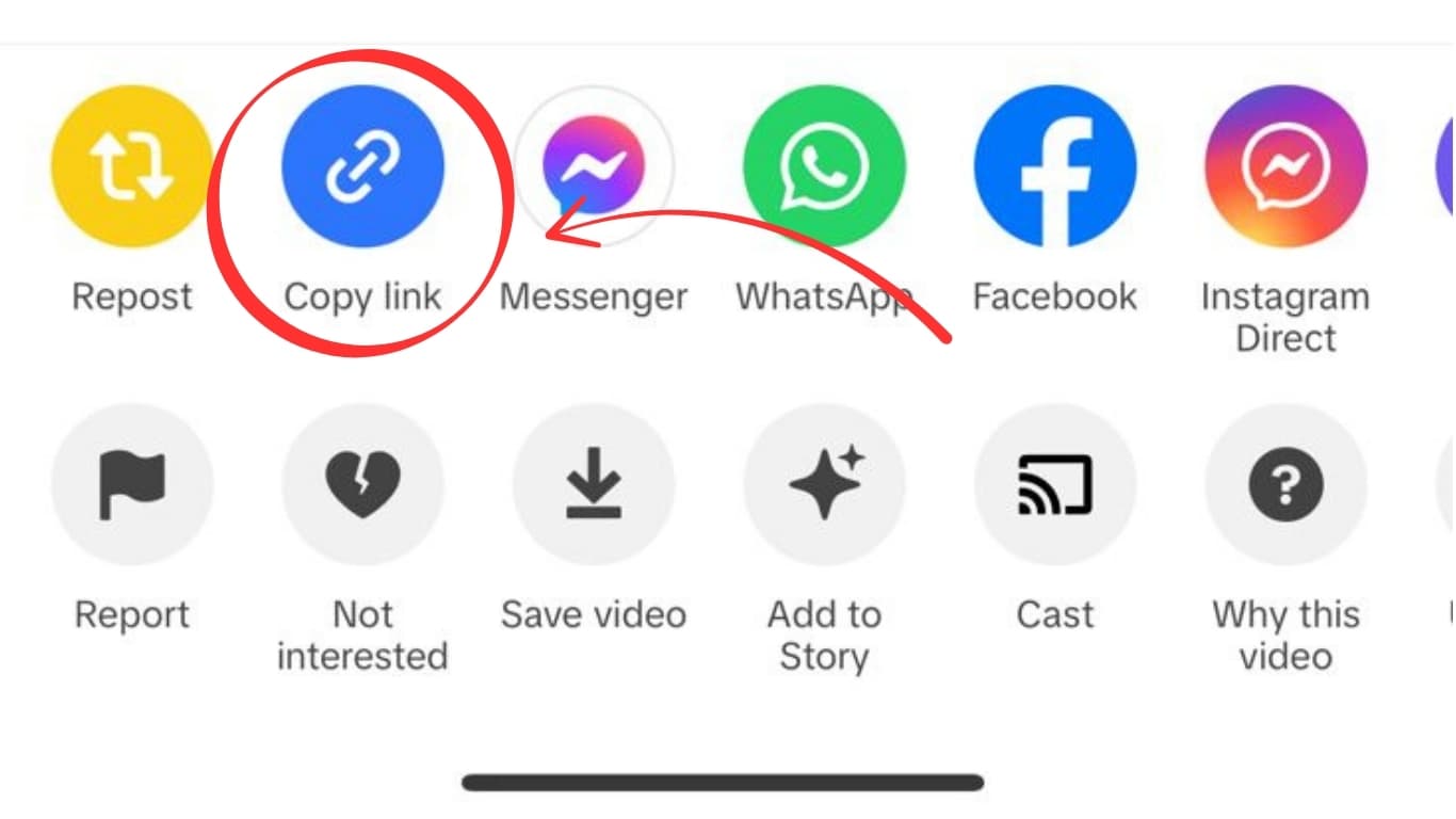 Best TikTok Video Downloaders for iPhone (2025 Guide) - Top 10 Apps
